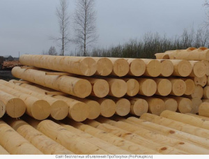 Zylindrisch rundholz Sibirische Lärche 240 mm x 4 m