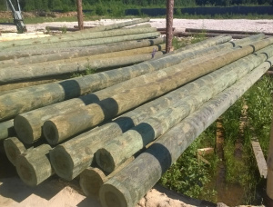 Scots Pine Wood utility poles 16 mm x 9.5 m